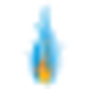 South Asia Gas Enterprise Pvt. Ltd.